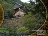 nai_ic2008wallpapertemplate